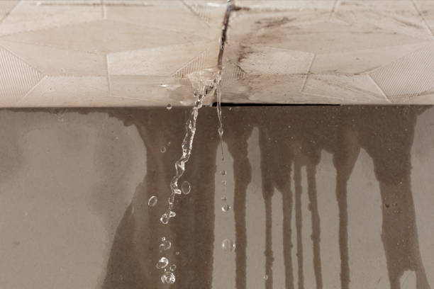 Professional Burst Pipe Cleanup technician working in Monponsett, MA